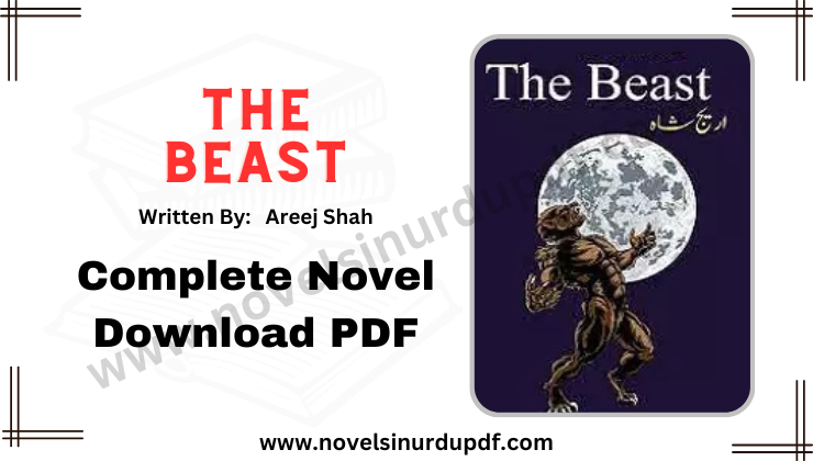The Beast By Areej Shah